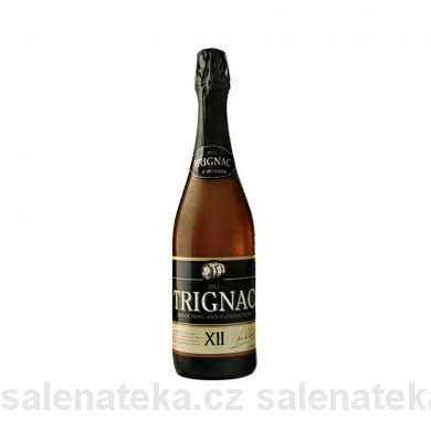 SALENAtéka - pivotéka & vinotéka - Letovice Boskovice Blansko - KASTEEL Trignac Luxe 2017 Strong Ale 12% 0,75l