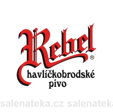 SALENAtéka - pivotéka & vinotéka - Letovice Boskovice Blansko - REBEL Premium světlý ležák 12° 20l keg