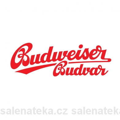 SALENAtéka - pivotéka & vinotéka - Letovice Boskovice Blansko - BUDVAR B:classic světlé pivo 10° 30l keg
